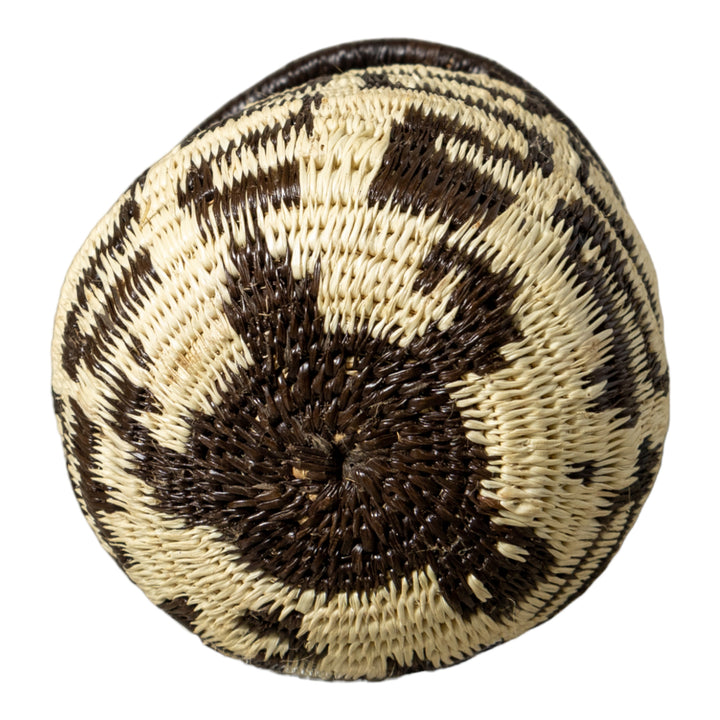 Black And White Turtle Shock Rainforest Basket