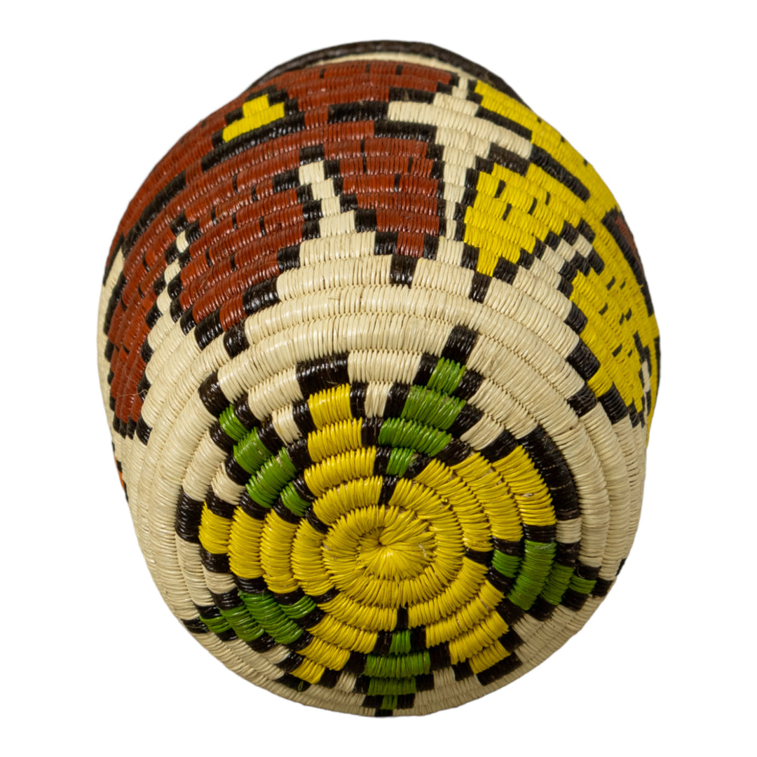 Orchid Flower Rainforest Basket