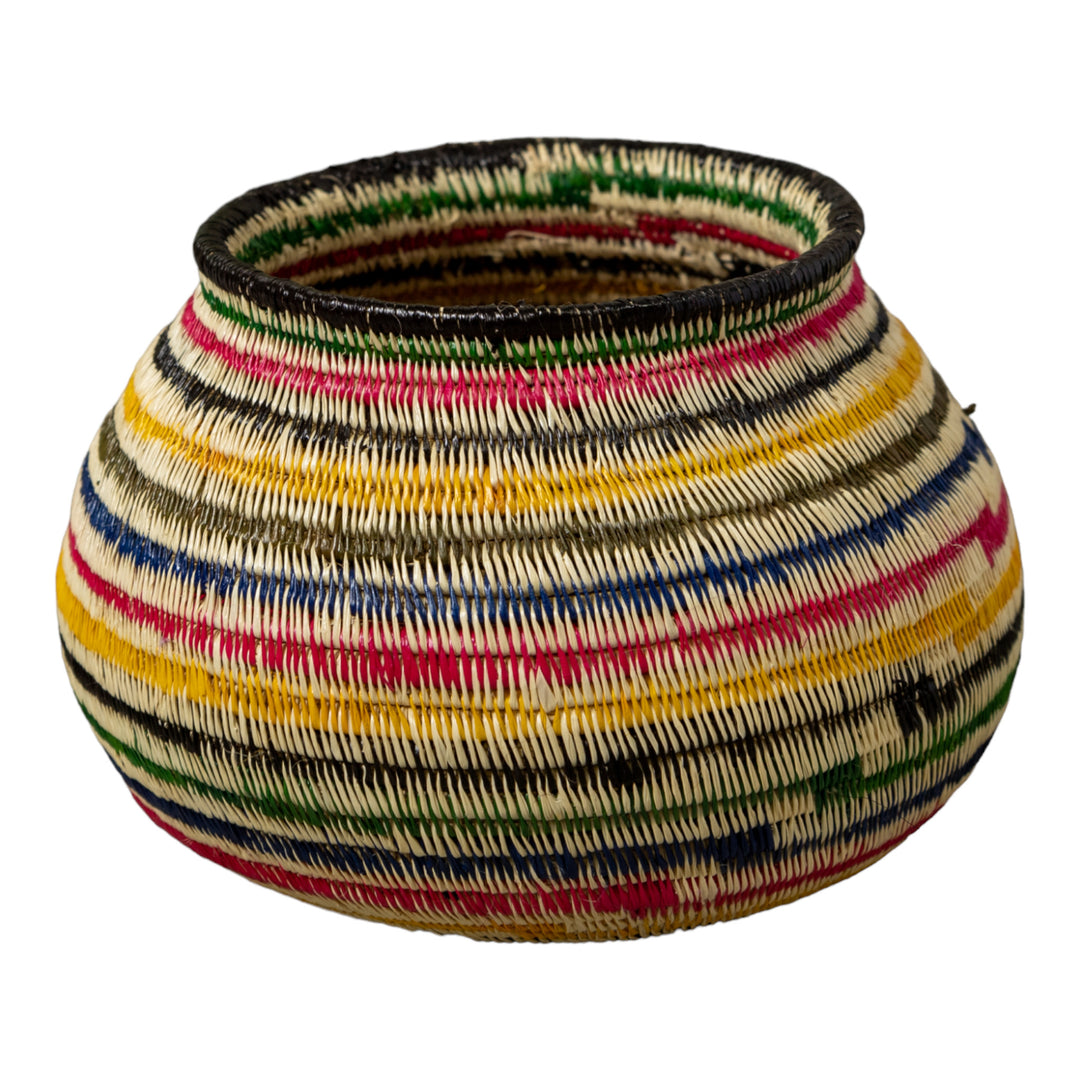 Rainbow of Colors Jungle Rainforest Basket