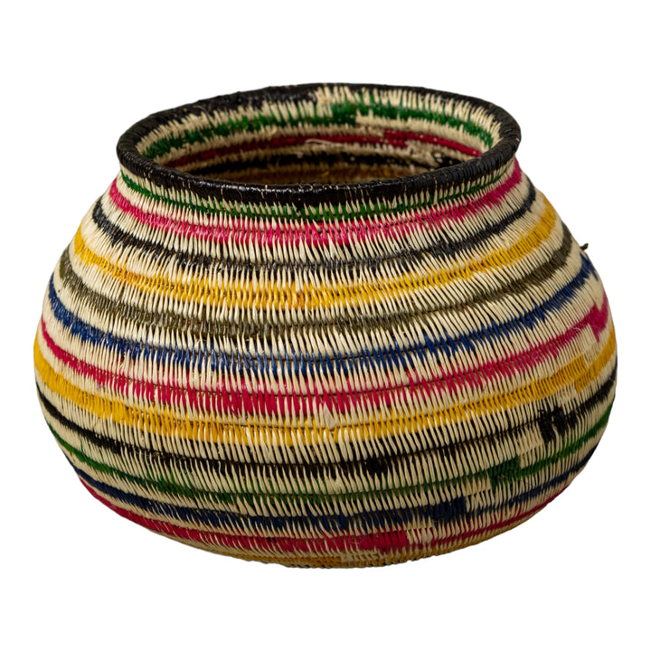 Rainbow of Colors Jungle Rainforest Basket
