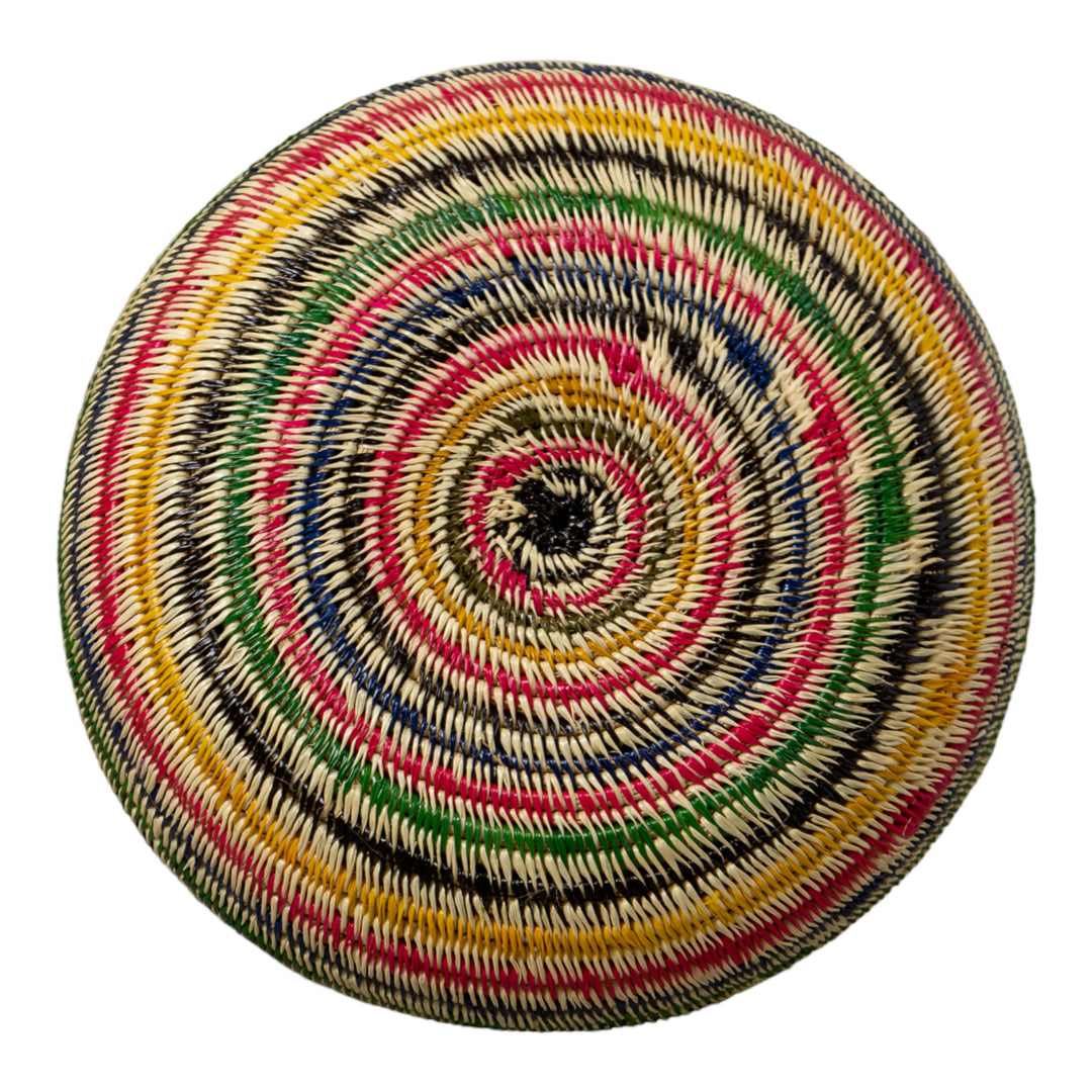 Rainbow of Colors Jungle Rainforest Basket
