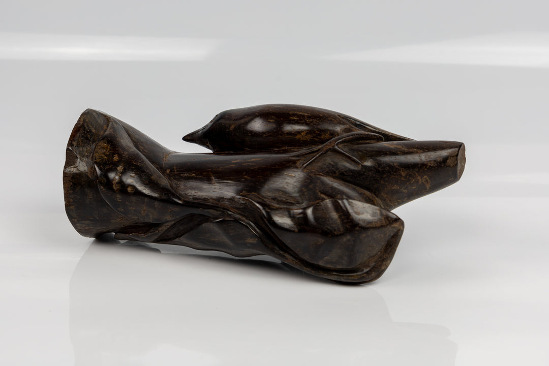 Jungle Bird Figurine, Wood Carving