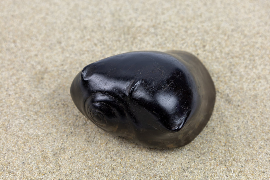 Ocean Seashell Figurine, Wood Carving