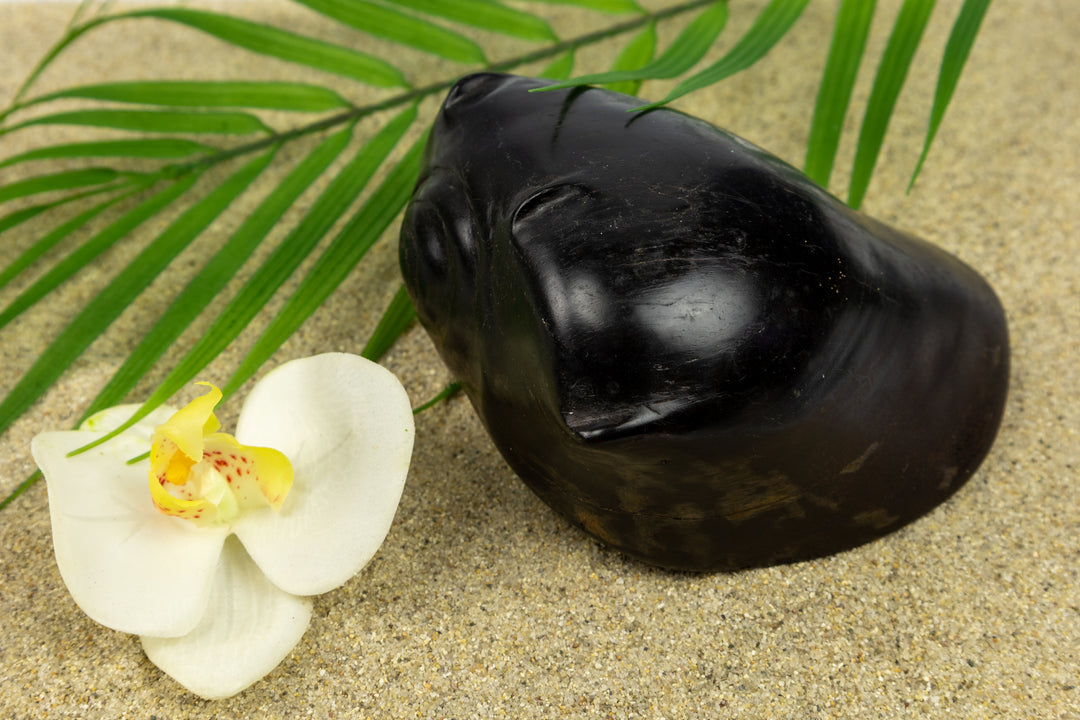 Ocean Seashell Figurine, Wood Carving