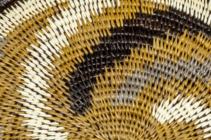 Galaxy Spiral Basket Plate