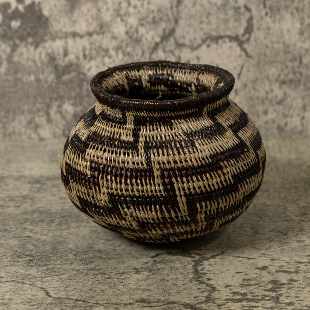 Black And Brown Sanke Spiral Rainforest Basket