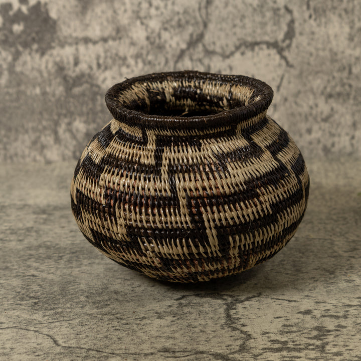 Black And Brown Sanke Spiral Rainforest Basket