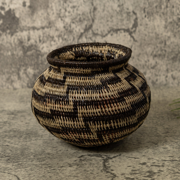 Black And Brown Sanke Spiral Rainforest Basket