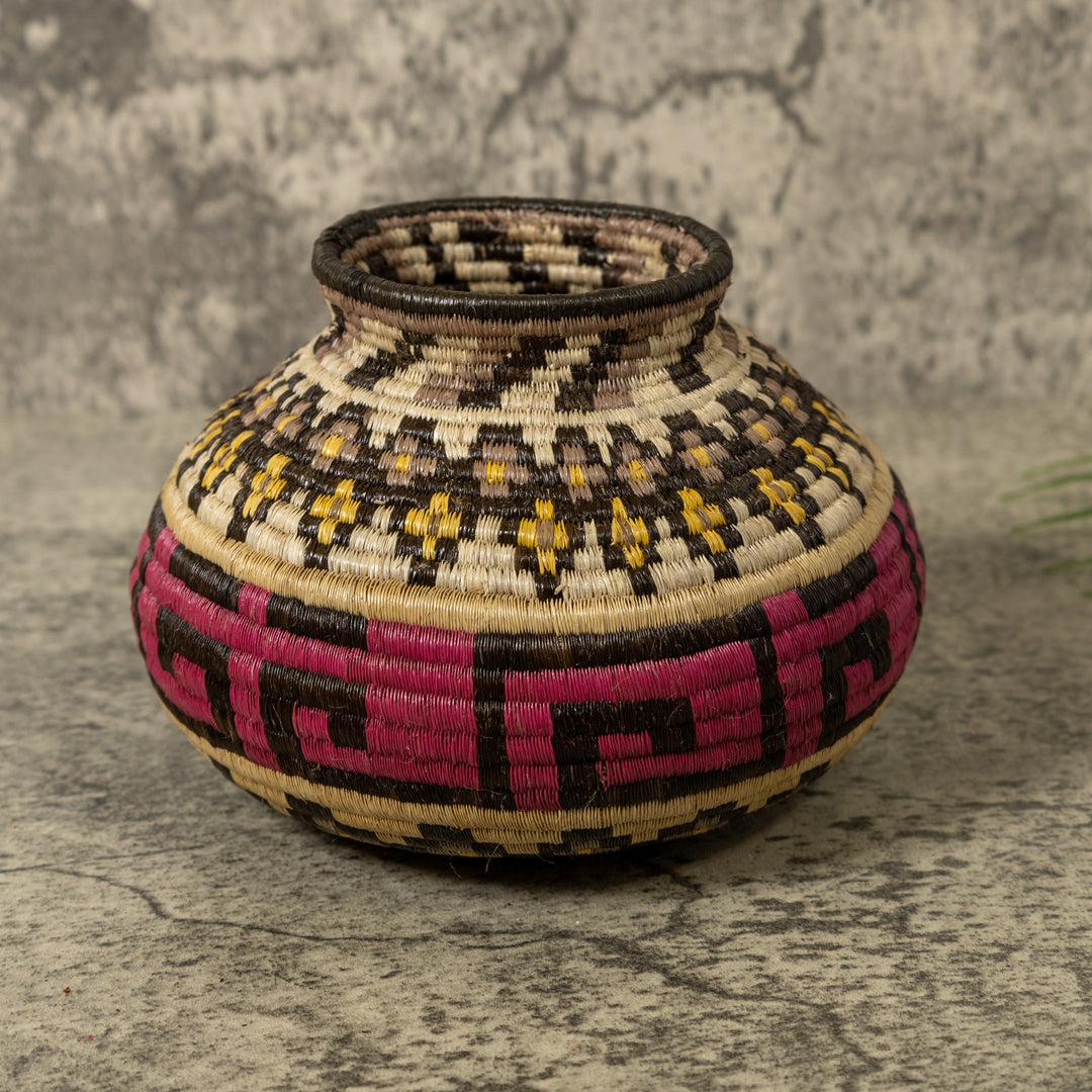 Multi-Color Greek Key Jungle Rainforest Basket