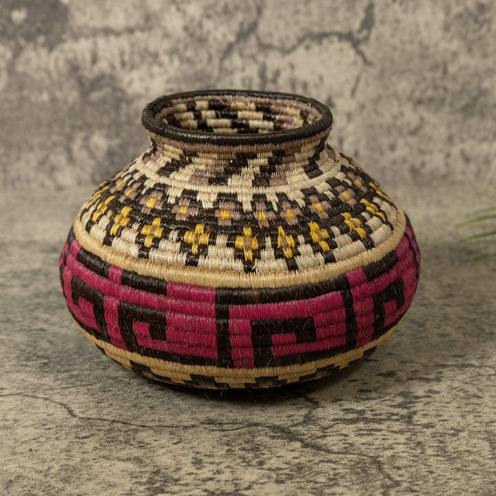 Multi-Color Greek Key Jungle Rainforest Basket