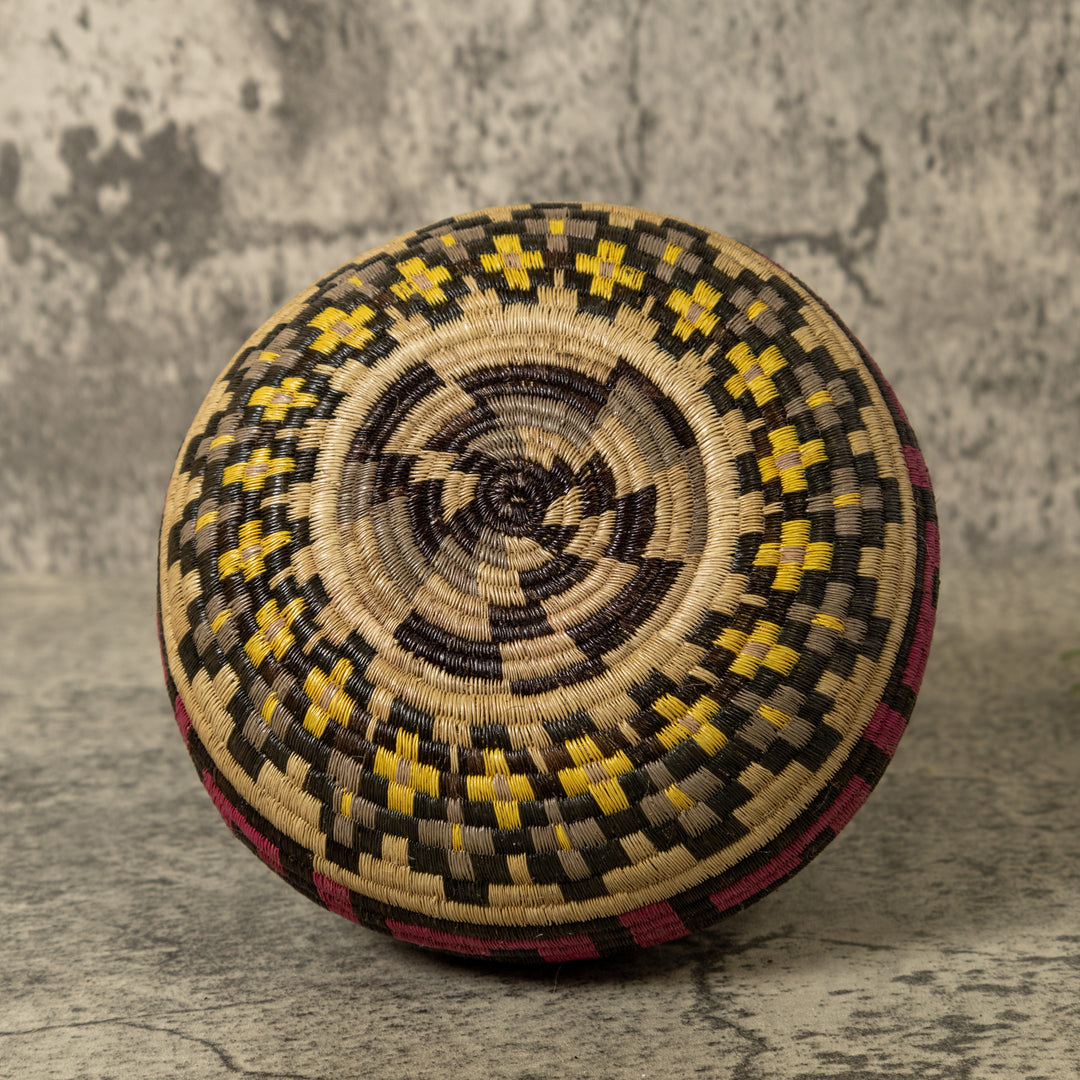 Multi-Color Greek Key Jungle Rainforest Basket