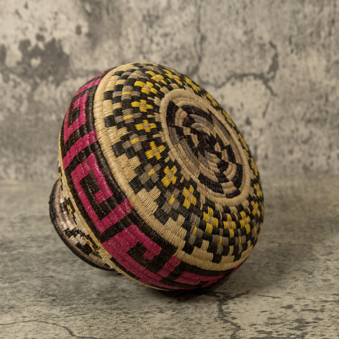 Multi-Color Greek Key Jungle Rainforest Basket