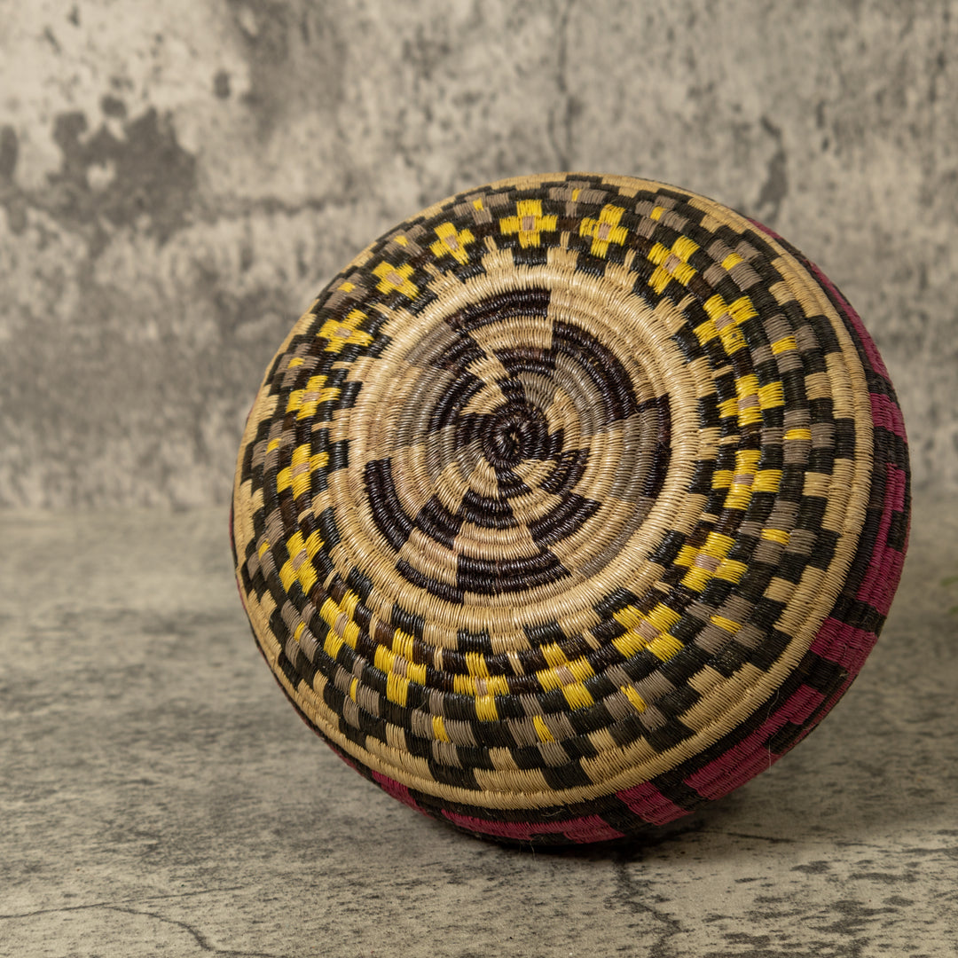 Multi-Color Greek Key Jungle Rainforest Basket