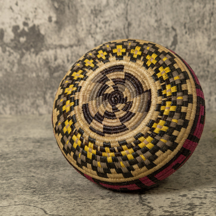 Multi-Color Greek Key Jungle Rainforest Basket