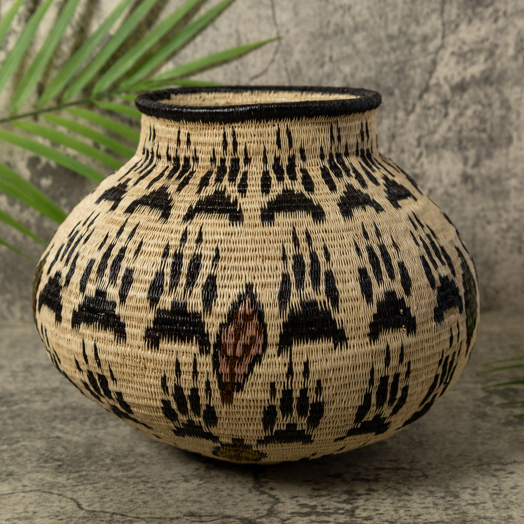 Cat Claws Rainforest Basket