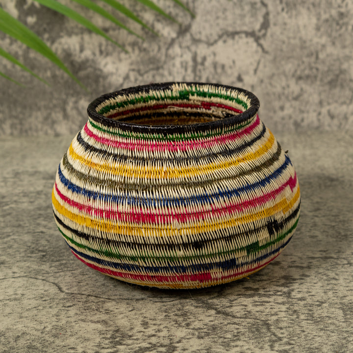 Rainbow of Colors Jungle Rainforest Basket