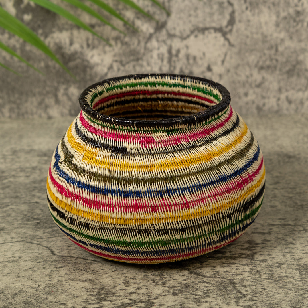 Rainbow of Colors Jungle Rainforest Basket