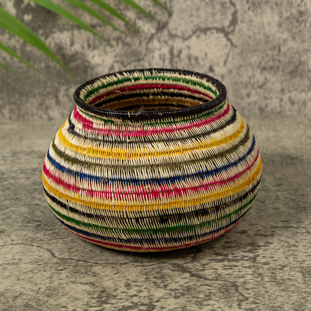 Rainbow of Colors Jungle Rainforest Basket