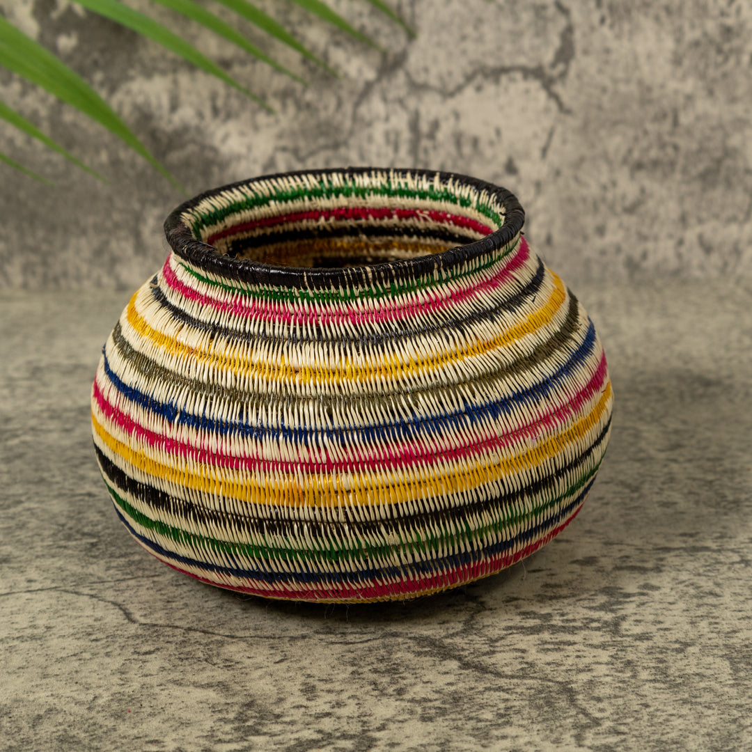 Rainbow of Colors Jungle Rainforest Basket