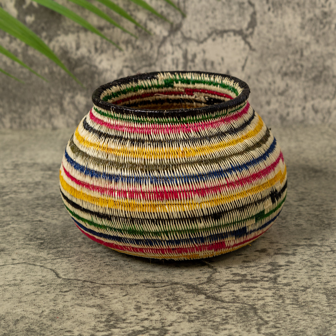 Rainbow of Colors Jungle Rainforest Basket