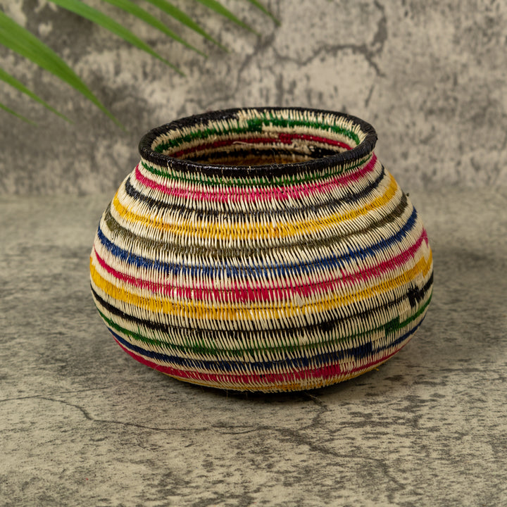 Rainbow of Colors Jungle Rainforest Basket