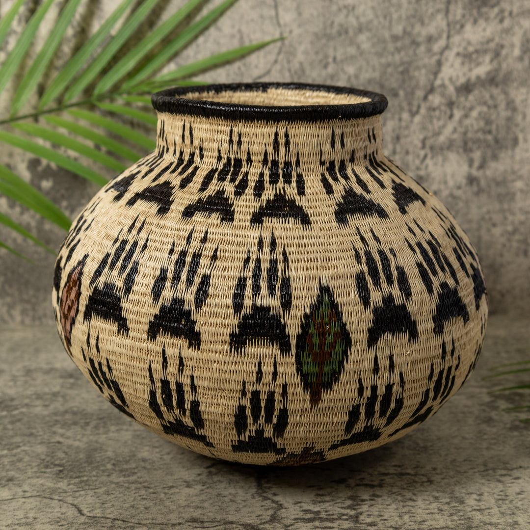 Cat Claws Rainforest Basket
