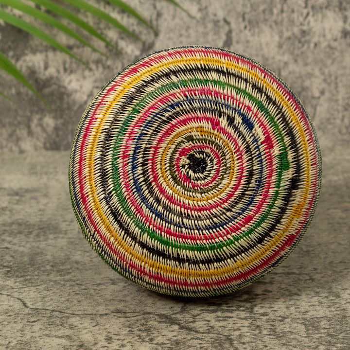 Rainbow of Colors Jungle Rainforest Basket