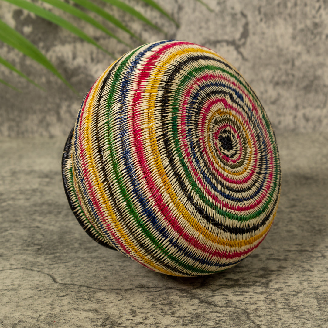 Rainbow of Colors Jungle Rainforest Basket