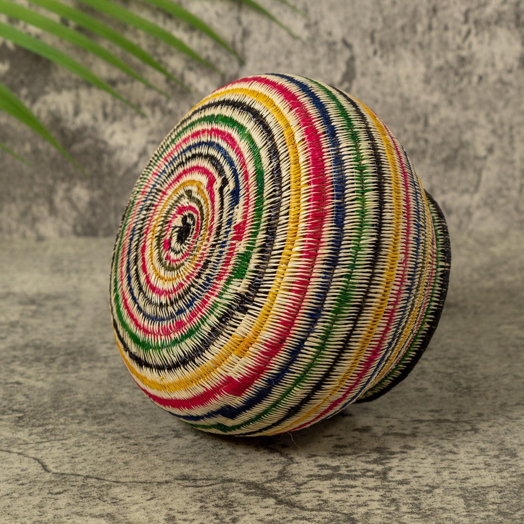 Rainbow of Colors Jungle Rainforest Basket