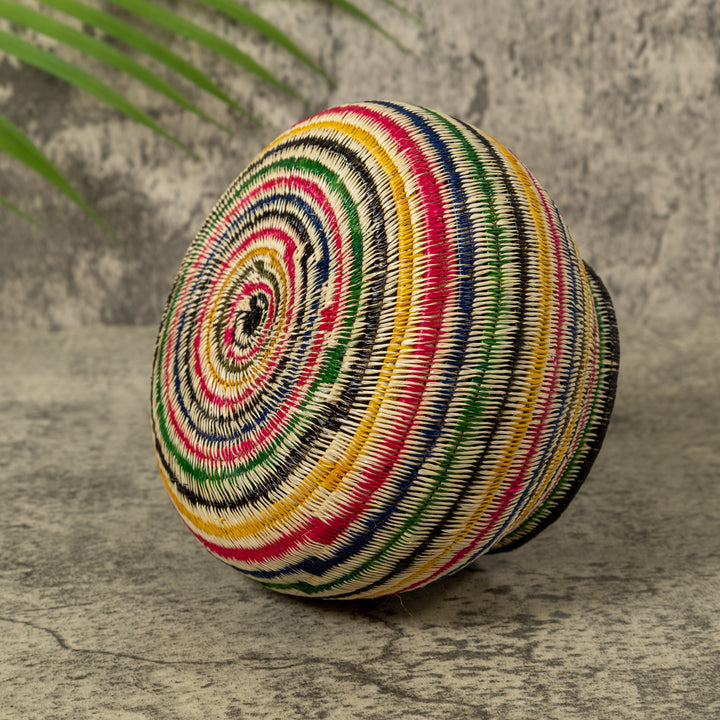 Rainbow of Colors Jungle Rainforest Basket