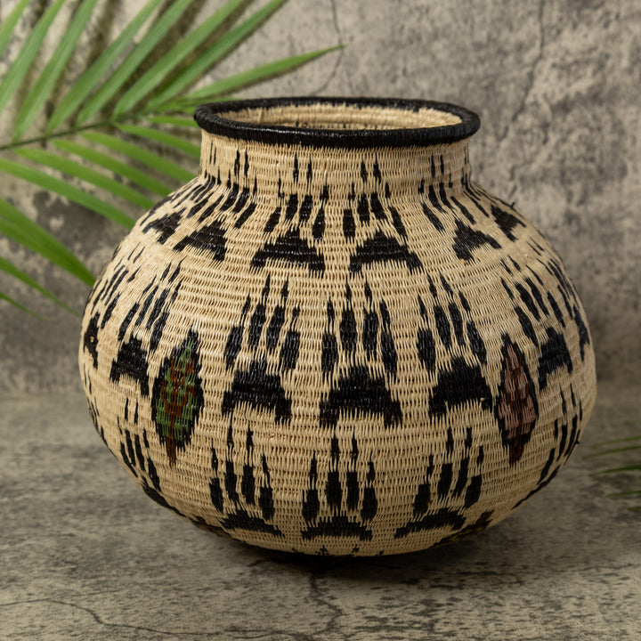 Cat Claws Rainforest Basket