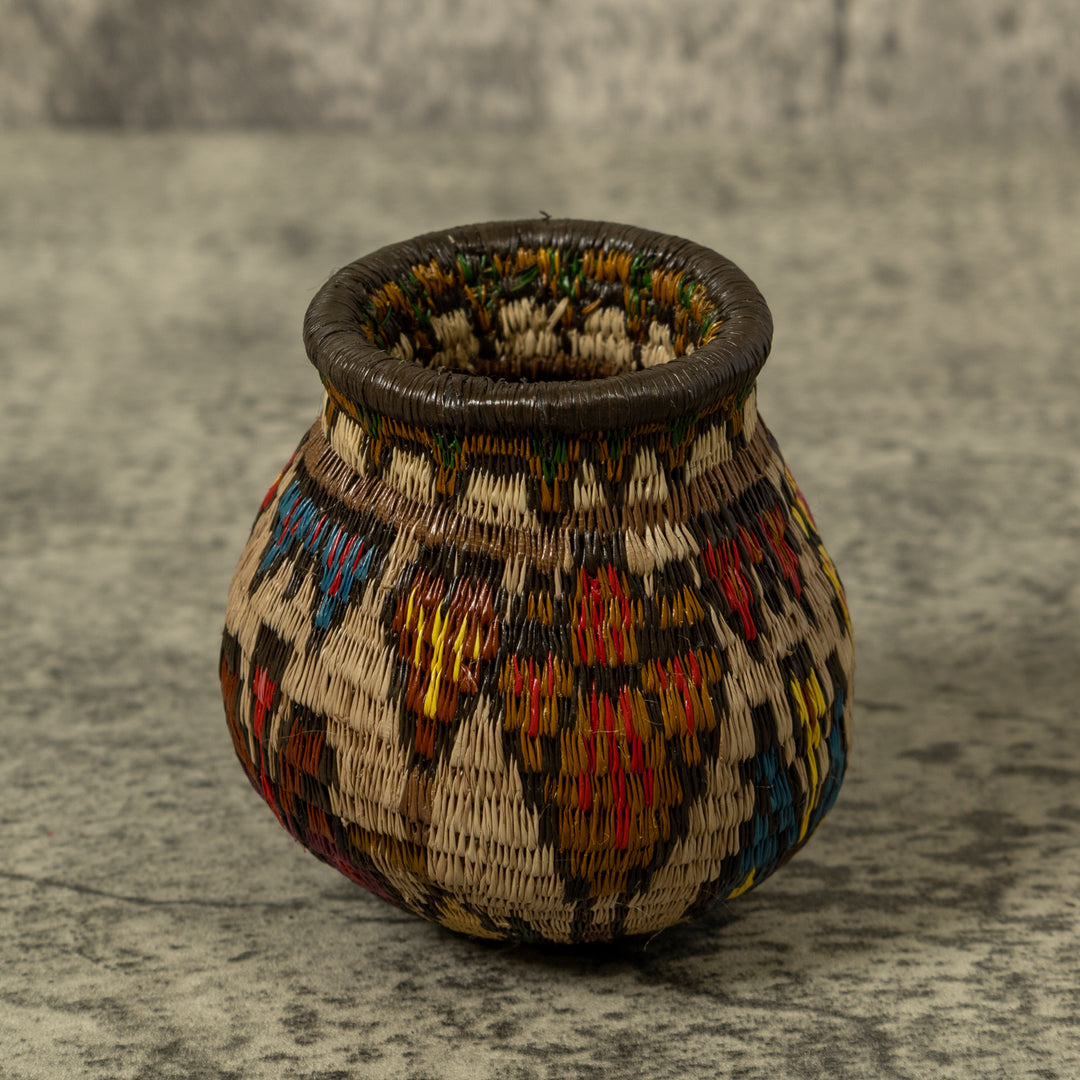 Shoeblackplant Rainforest Basket