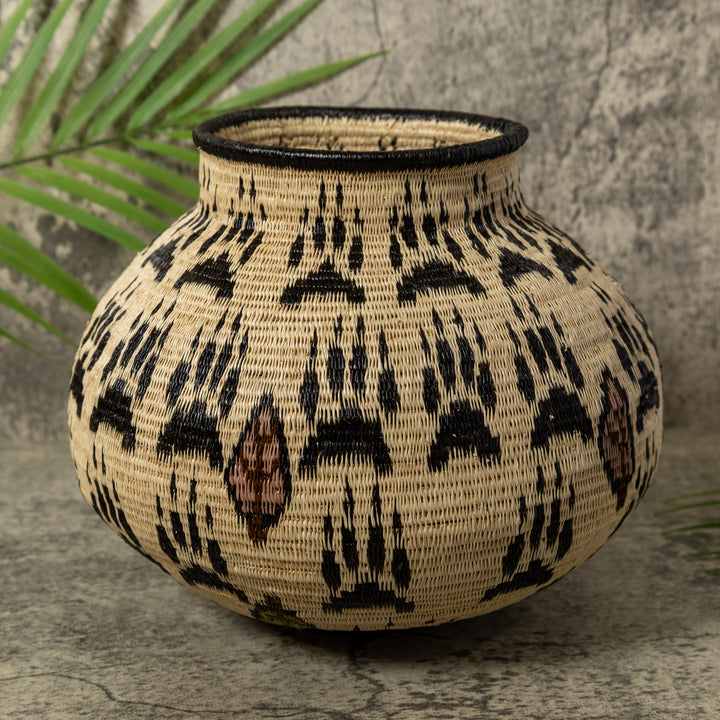 Cat Claws Rainforest Basket