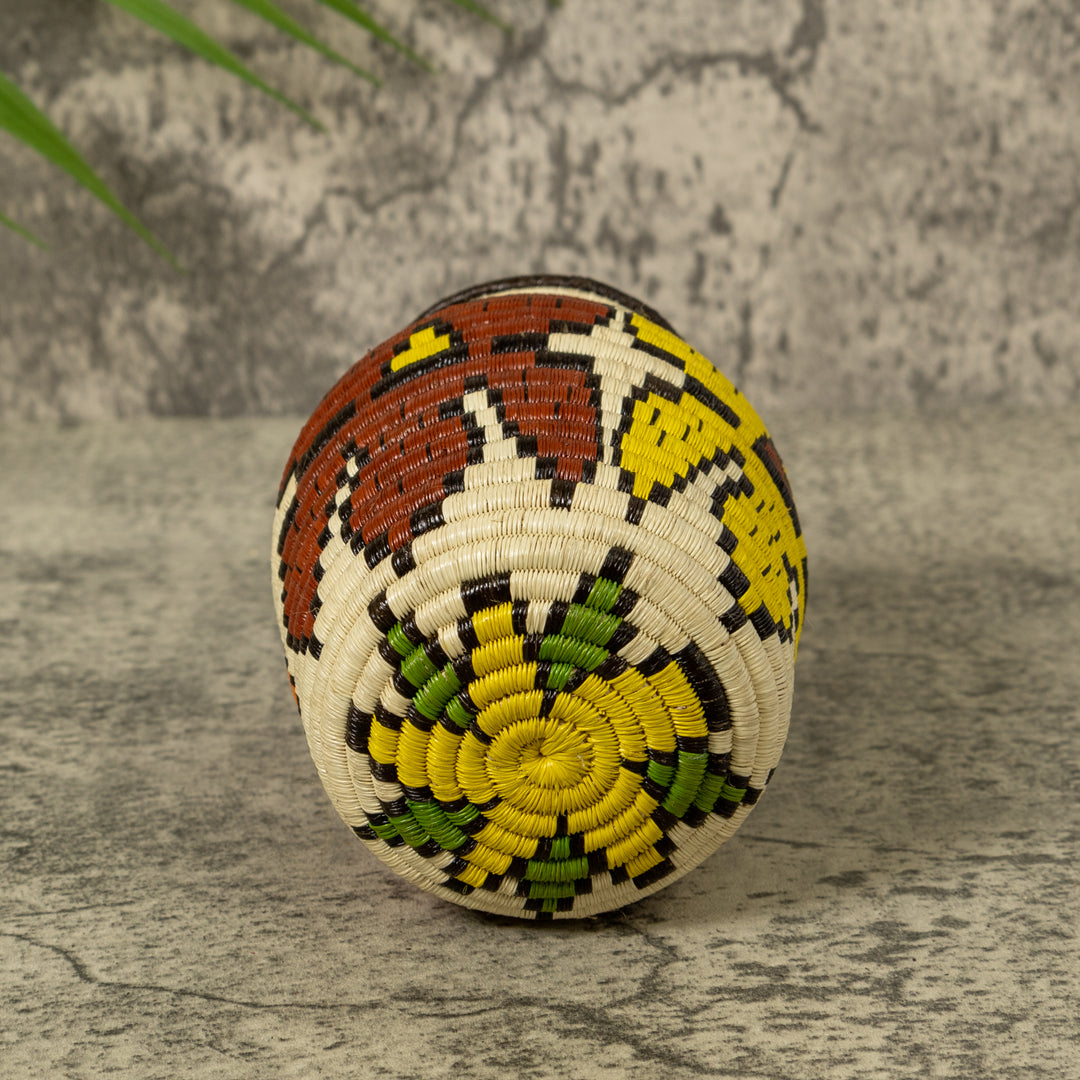 Orchid Flower Rainforest Basket