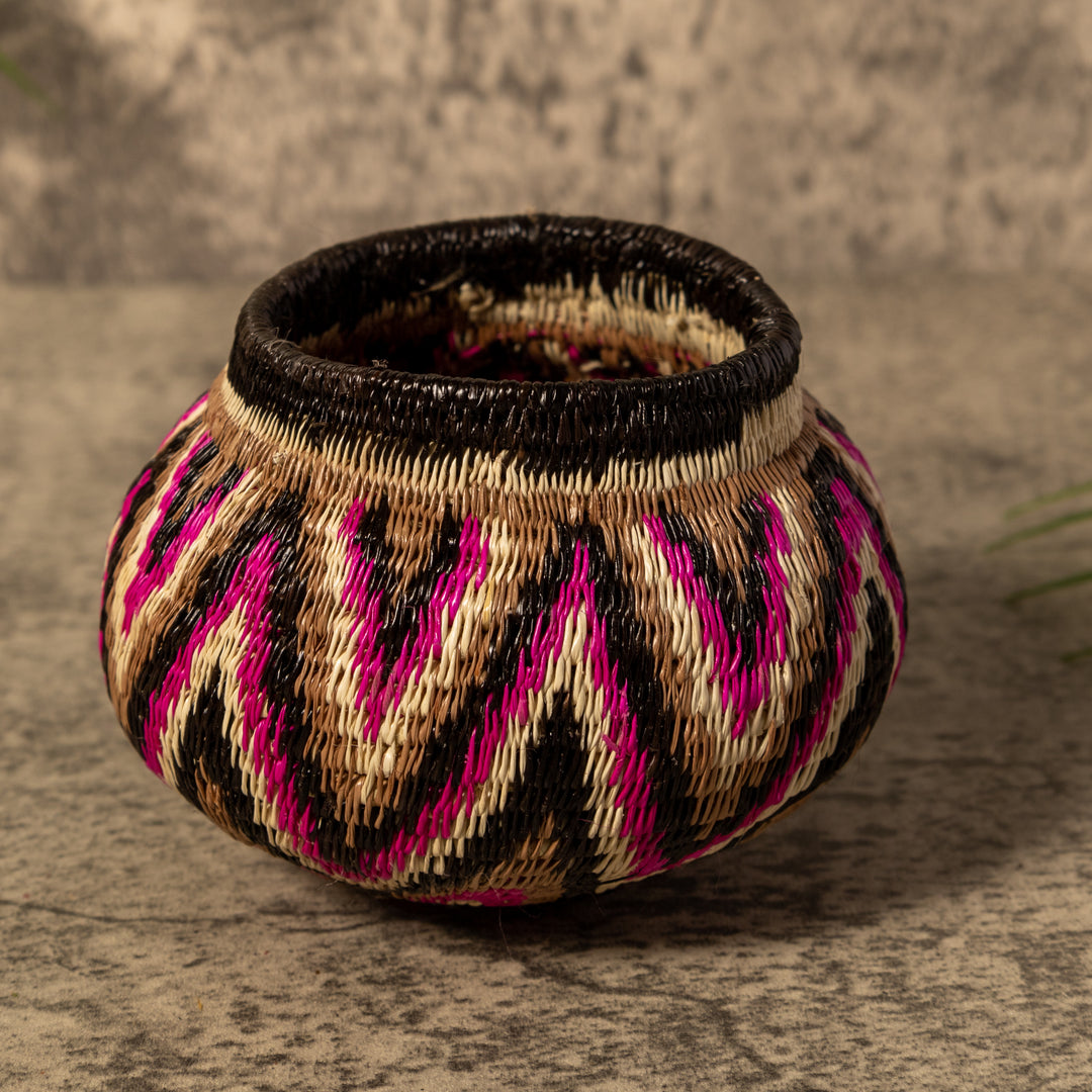 Violet Jungle Star Silhouette Rainforest Basket