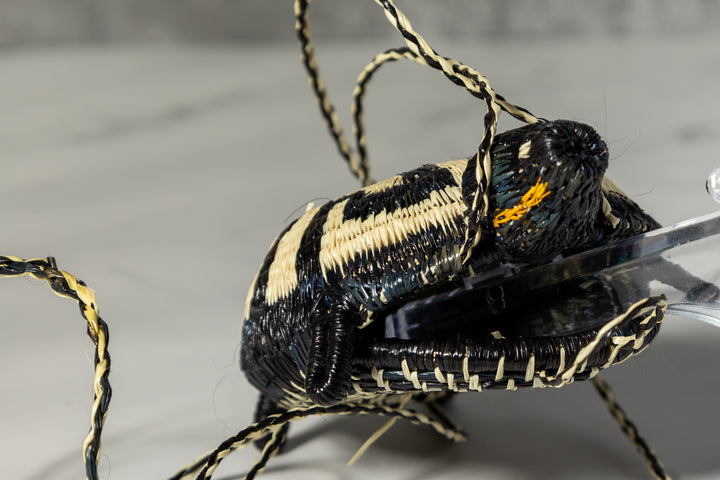 Black And White Turtle Purse Woven Basket
