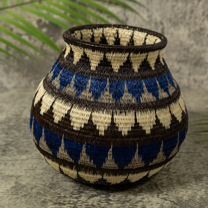 Deep Blue Star Pulse Rainforest Basket