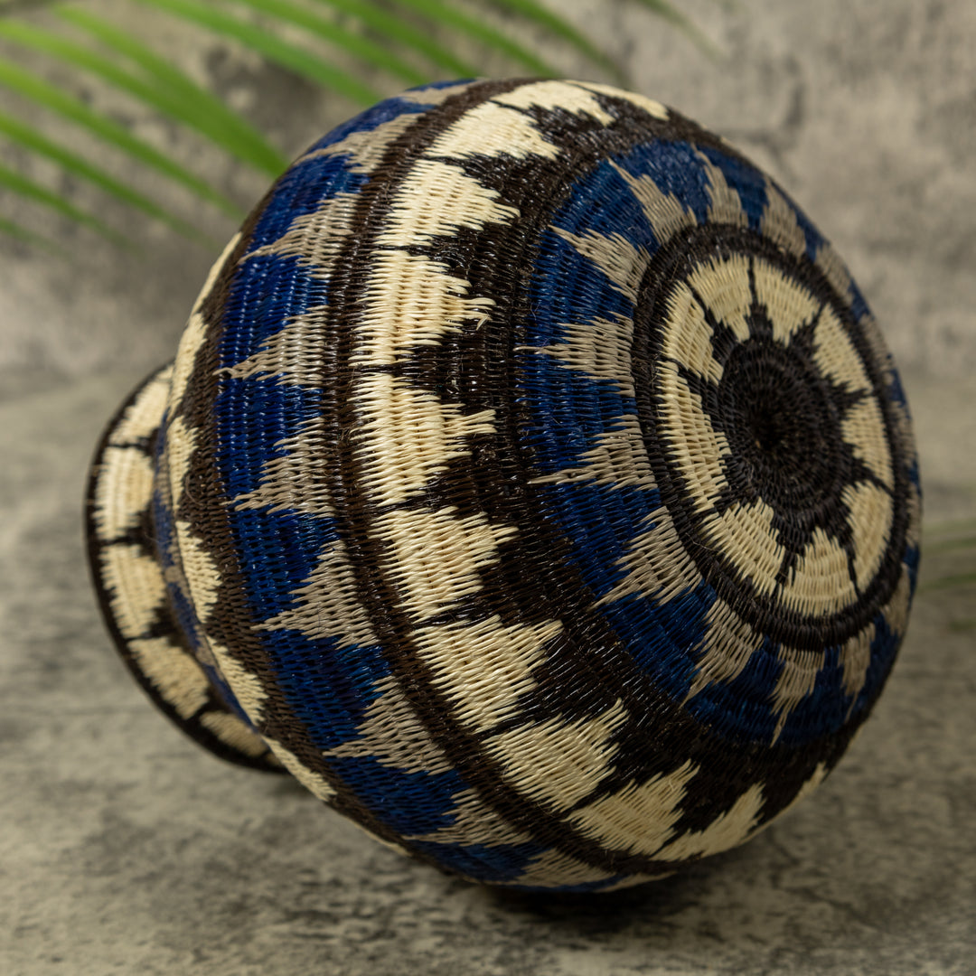 Deep Blue Star Pulse Rainforest Basket