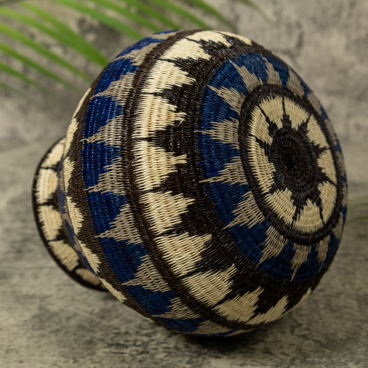 Deep Blue Star Pulse Rainforest Basket