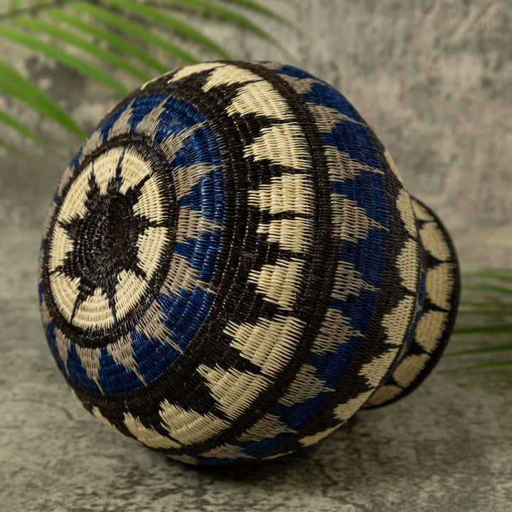 Deep Blue Star Pulse Rainforest Basket