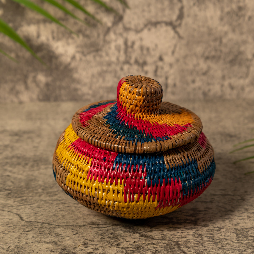 Rainbow of Colors Rainforest Basket With Top