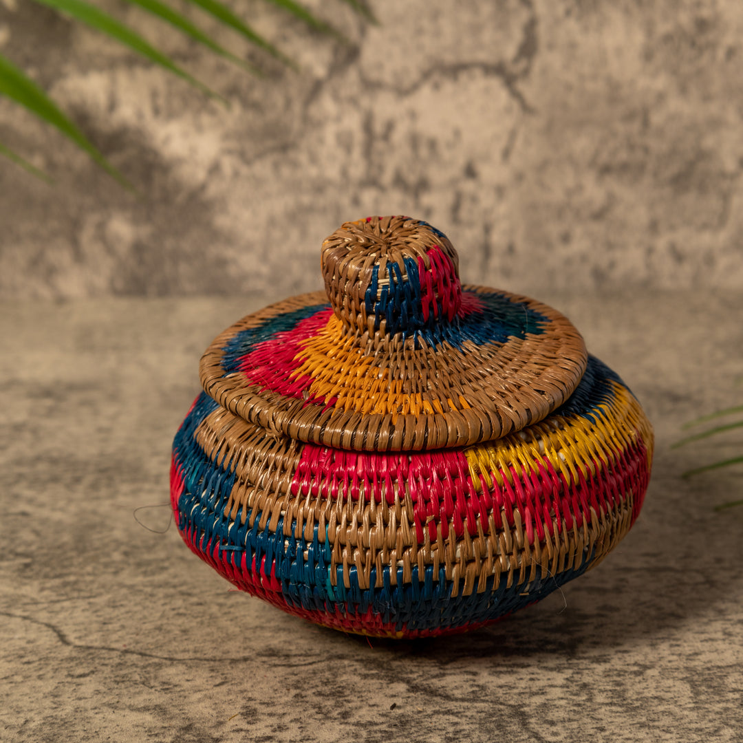 Rainbow of Colors Rainforest Basket With Top