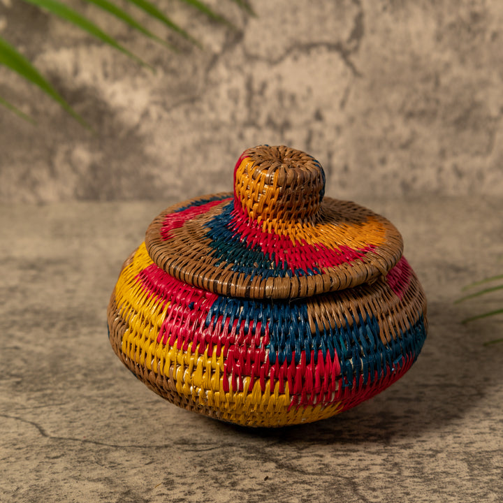 Rainbow of Colors Rainforest Basket With Top