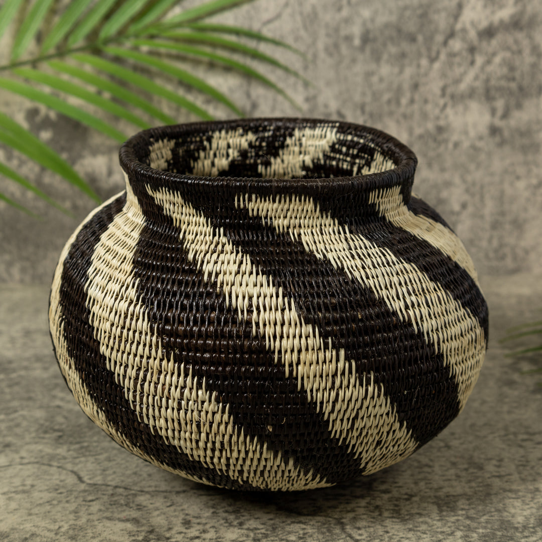 Black And White Swirl Rainforest Basket