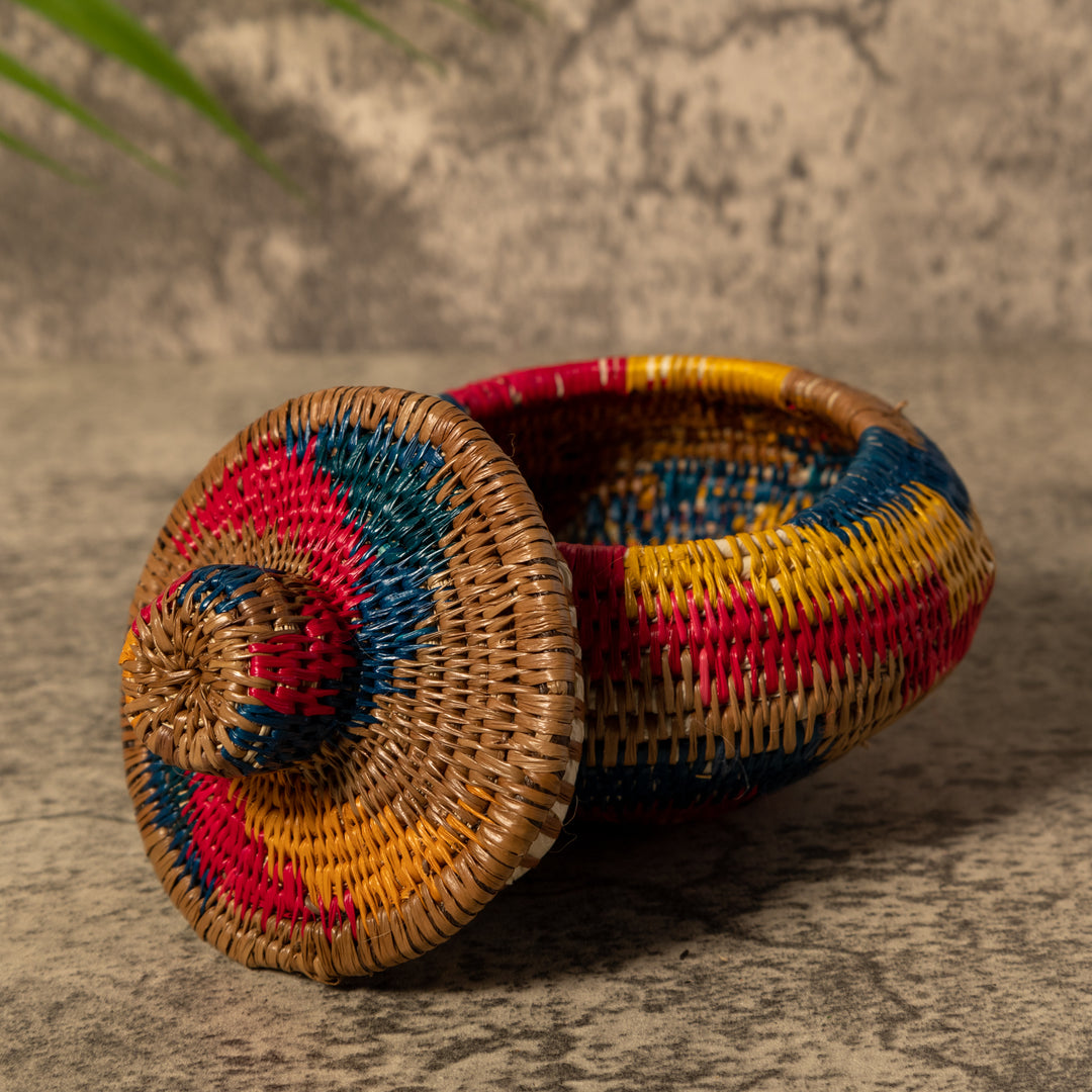 Rainbow of Colors Rainforest Basket With Top