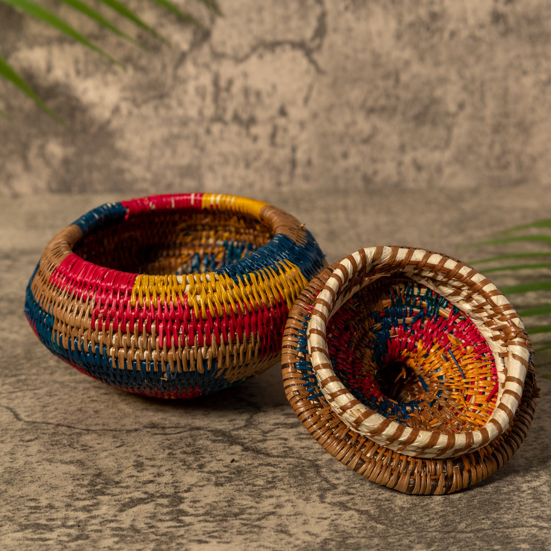 Rainbow of Colors Rainforest Basket With Top
