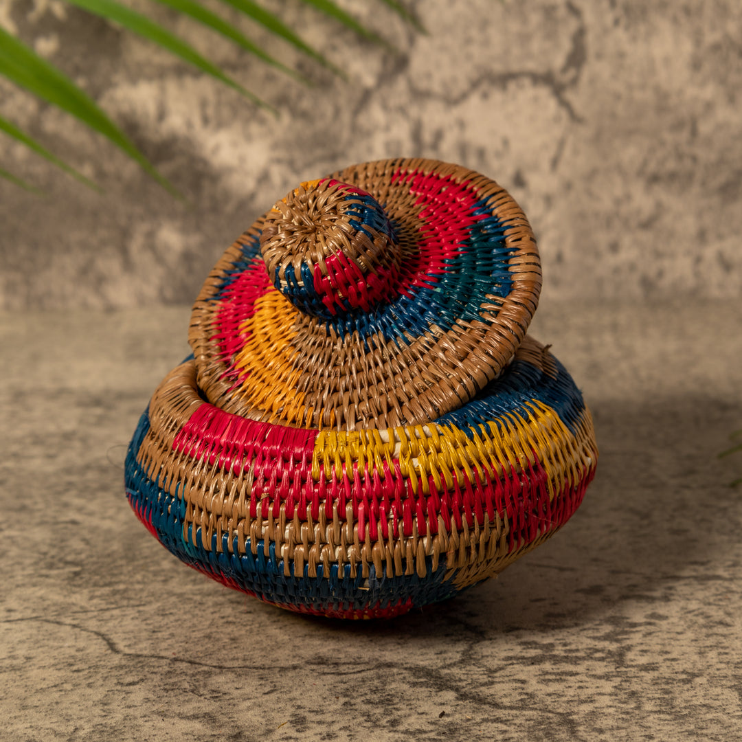 Rainbow of Colors Rainforest Basket With Top