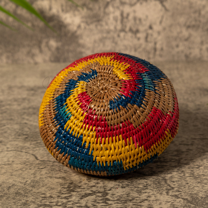 Rainbow of Colors Rainforest Basket With Top
