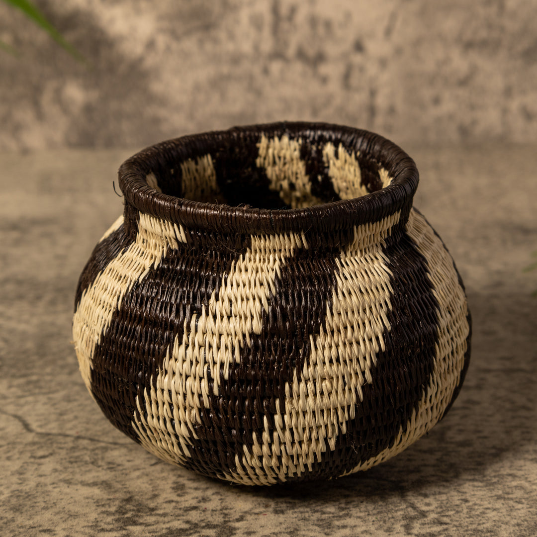 Spinner Swirl Rainforest Basket