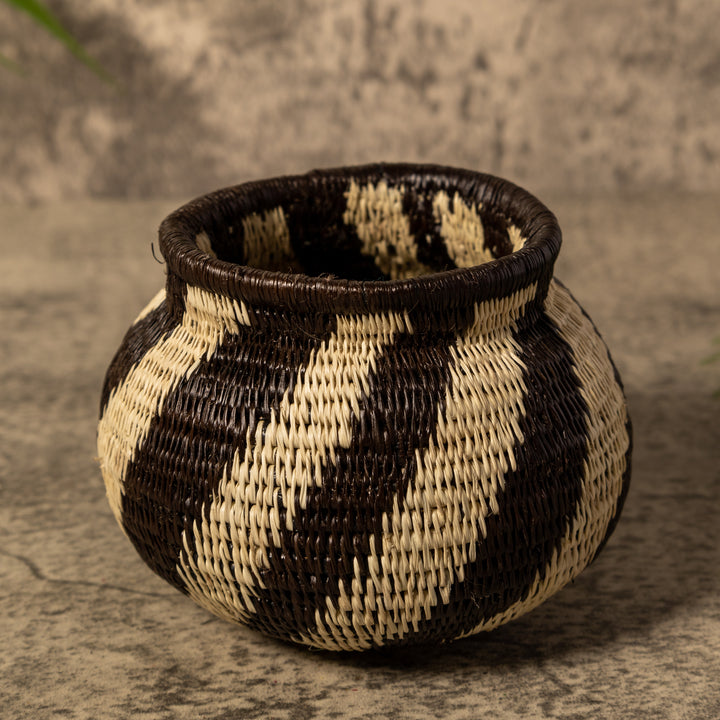 Spinner Swirl Rainforest Basket